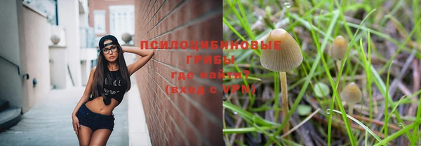 гашиш Няндома