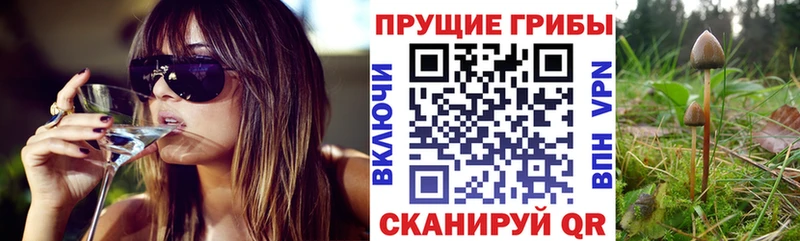 KRAKEN как зайти  Благовещенск  Галлюциногенные грибы прущие грибы  как найти наркотики 