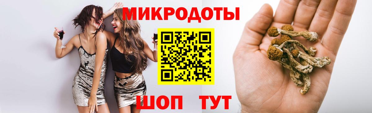 Благовещенск  Псилоцибиновые грибы MAGIC MUSHROOMS  Галлюциногенные грибы Psilocybe  Вход с VPN 